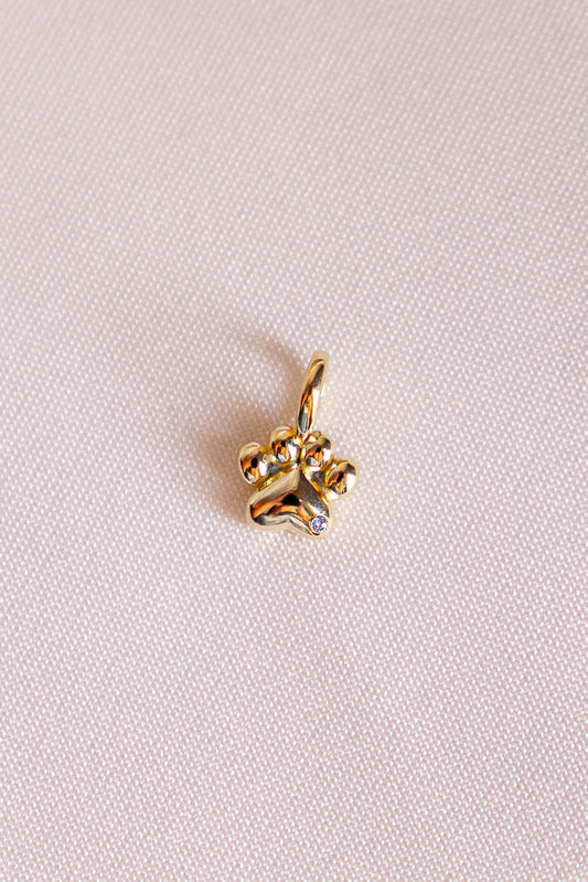 Paw Charm