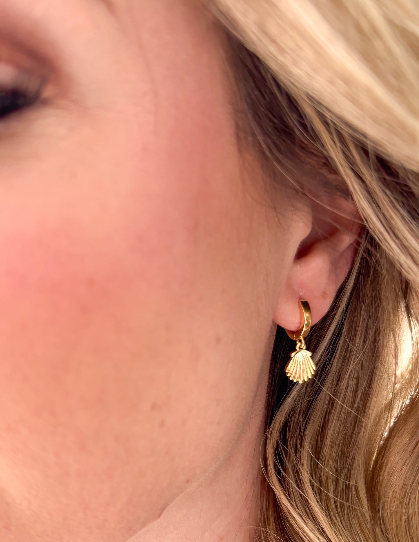 Shell Hoops