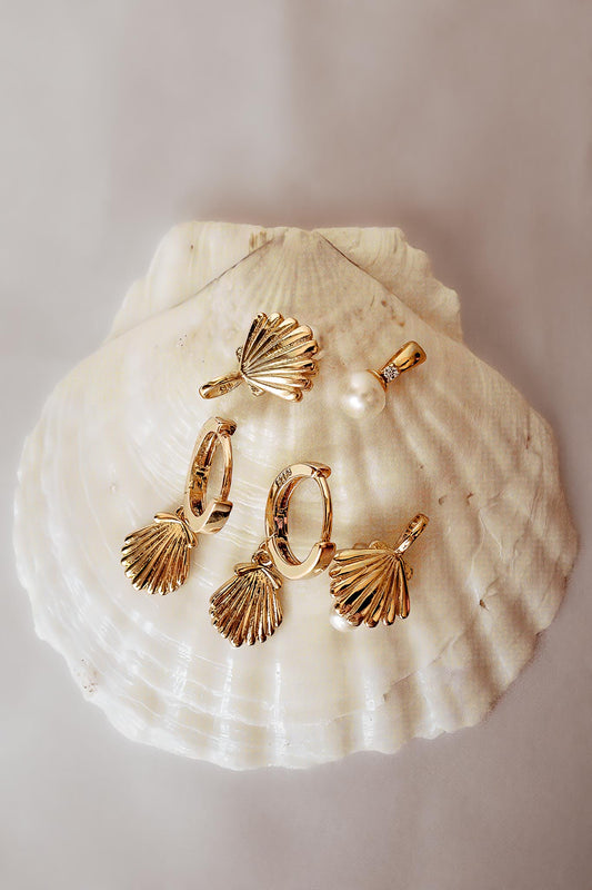Shell Hoops