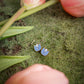 Tulip Studs