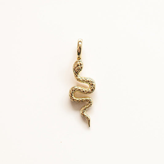 Snake Charm