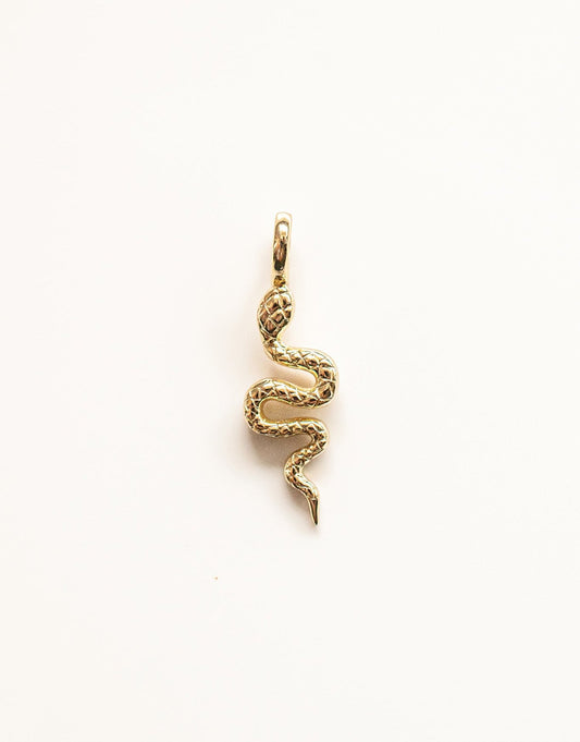 Snake Charm