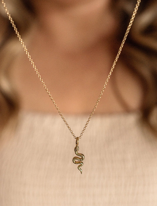 Snake Charm Necklace