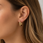 Oval Sculpture Hoops